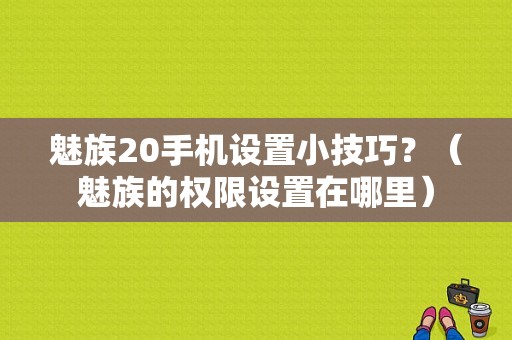 魅族20手机设置小技巧？（魅族的权限设置在哪里）-图1